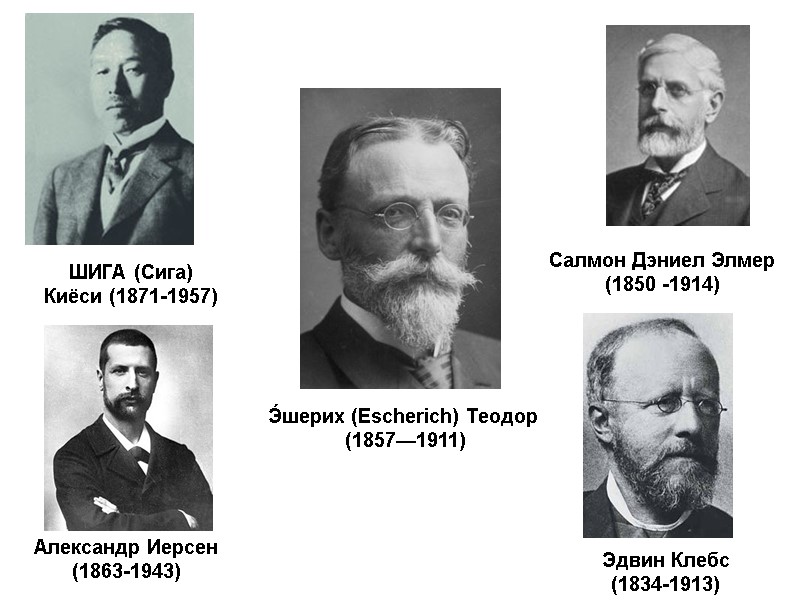 ШИГА (Сига) Киёси (1871-1957) Салмон Дэниел Элмер (1850 -1914) Александр Иерсен (1863-1943) Эдвин Клебс